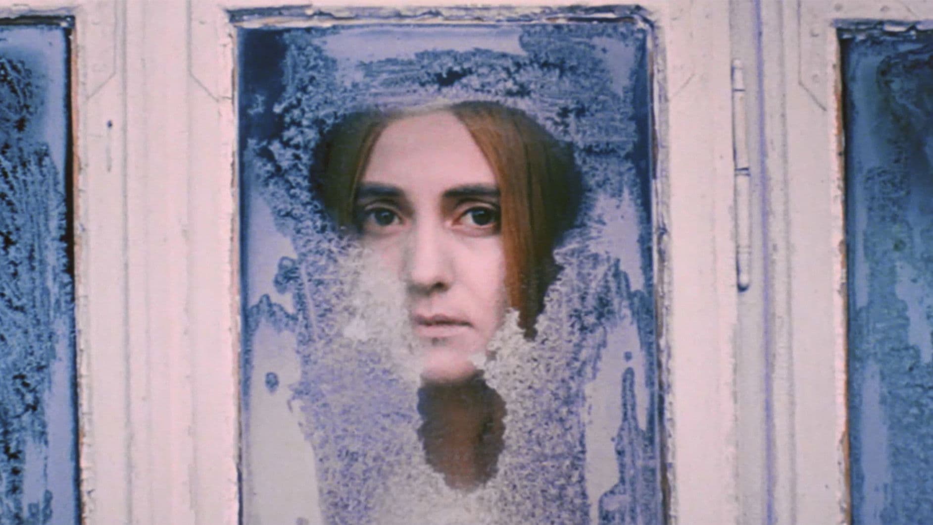 Bilyy ptakh z chornoyu vidznakoyu