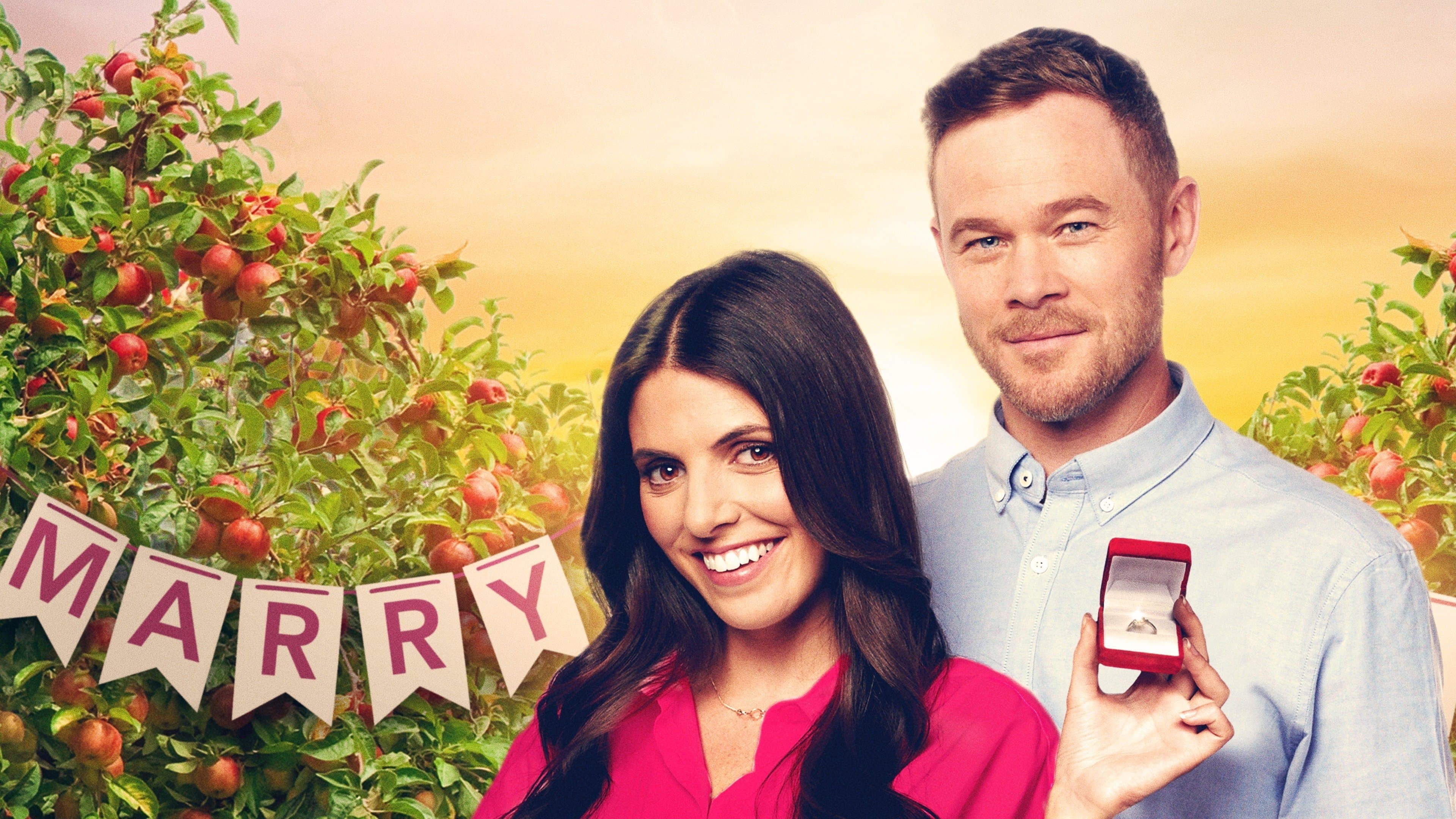 La proposta perfetta