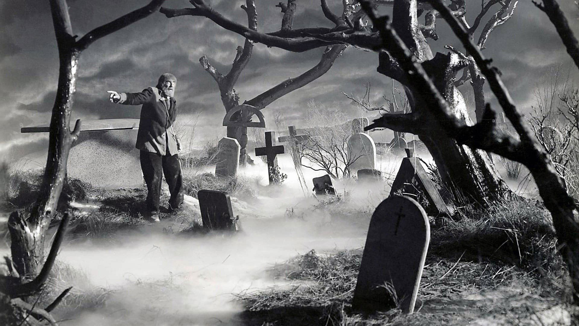 Il figlio di Frankenstein