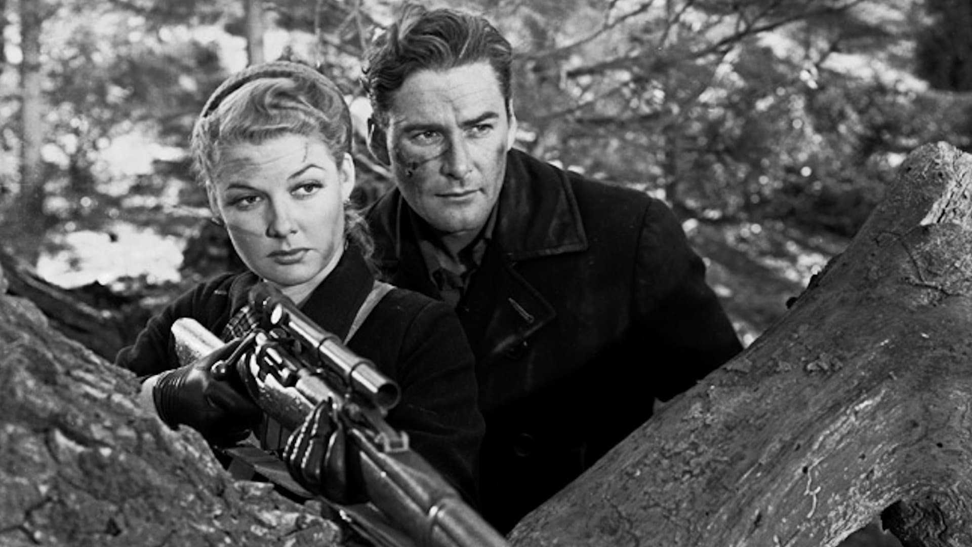 La bandiera sventola ancora