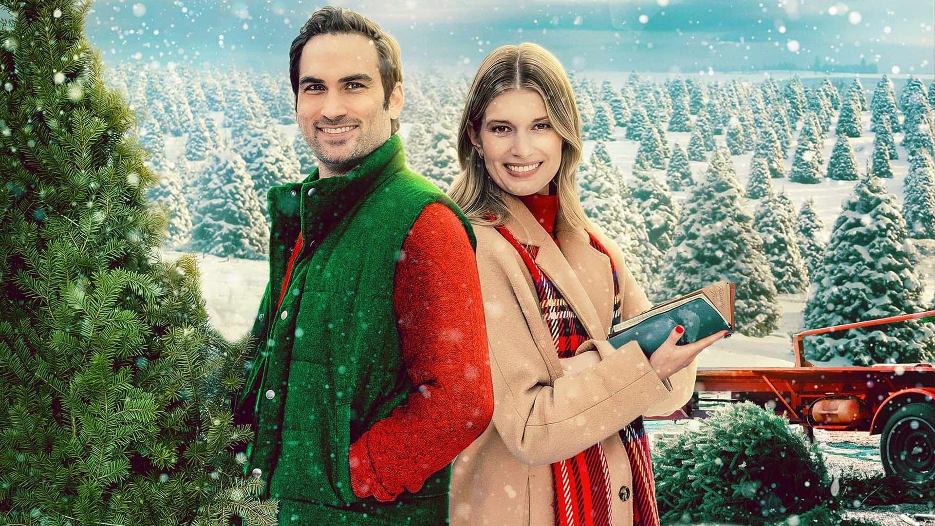 L'albero della mia famiglia