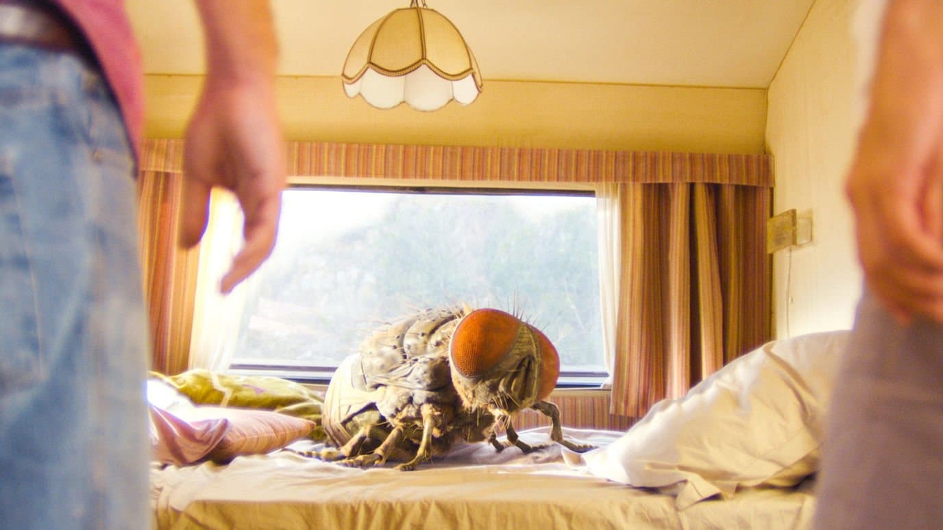 Mandibules - Due uomini e una mosca