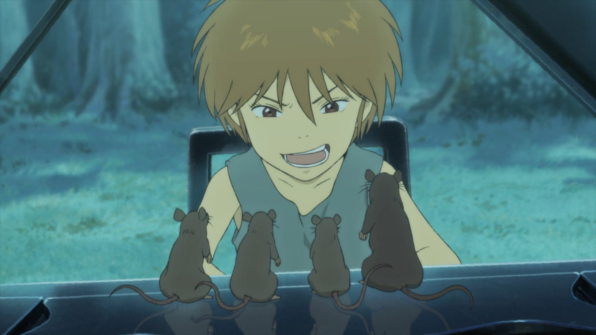 Piano Forest - Il piano nella foresta