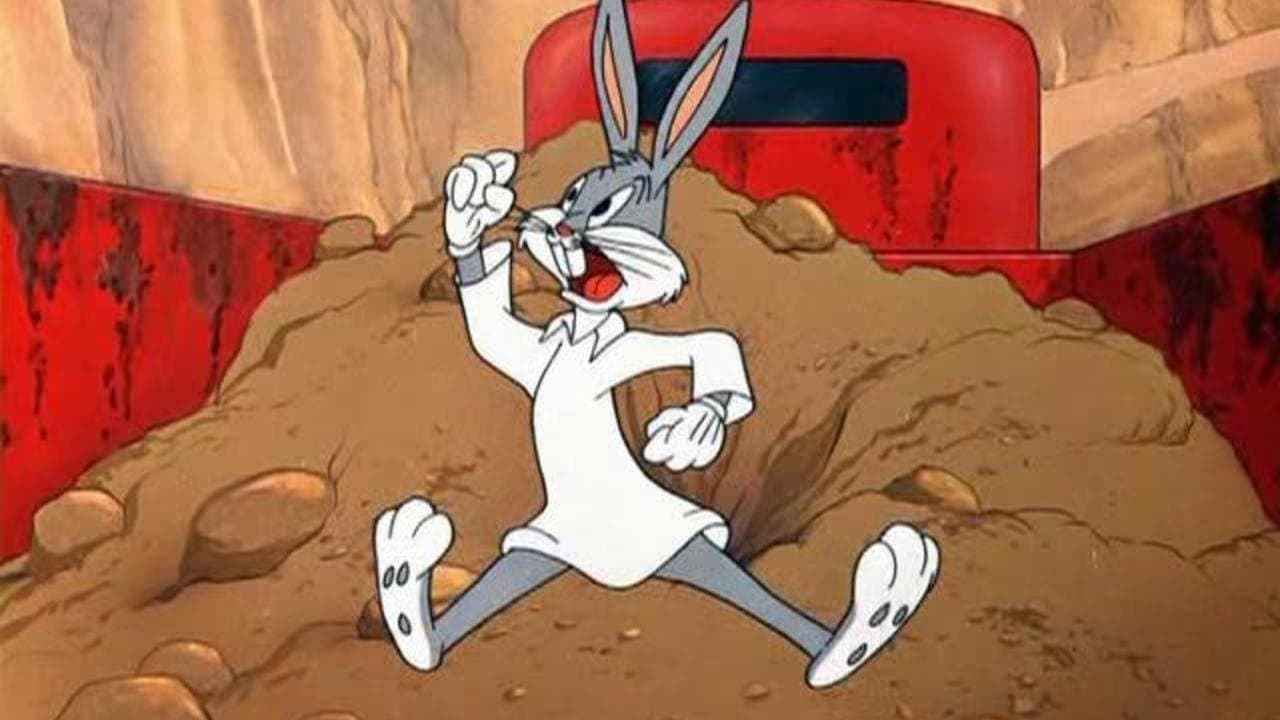 Un coniglio cerca casa