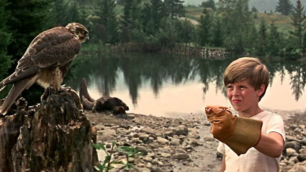 La meravigliosa avventura di Sam e l'orsetto lavatore