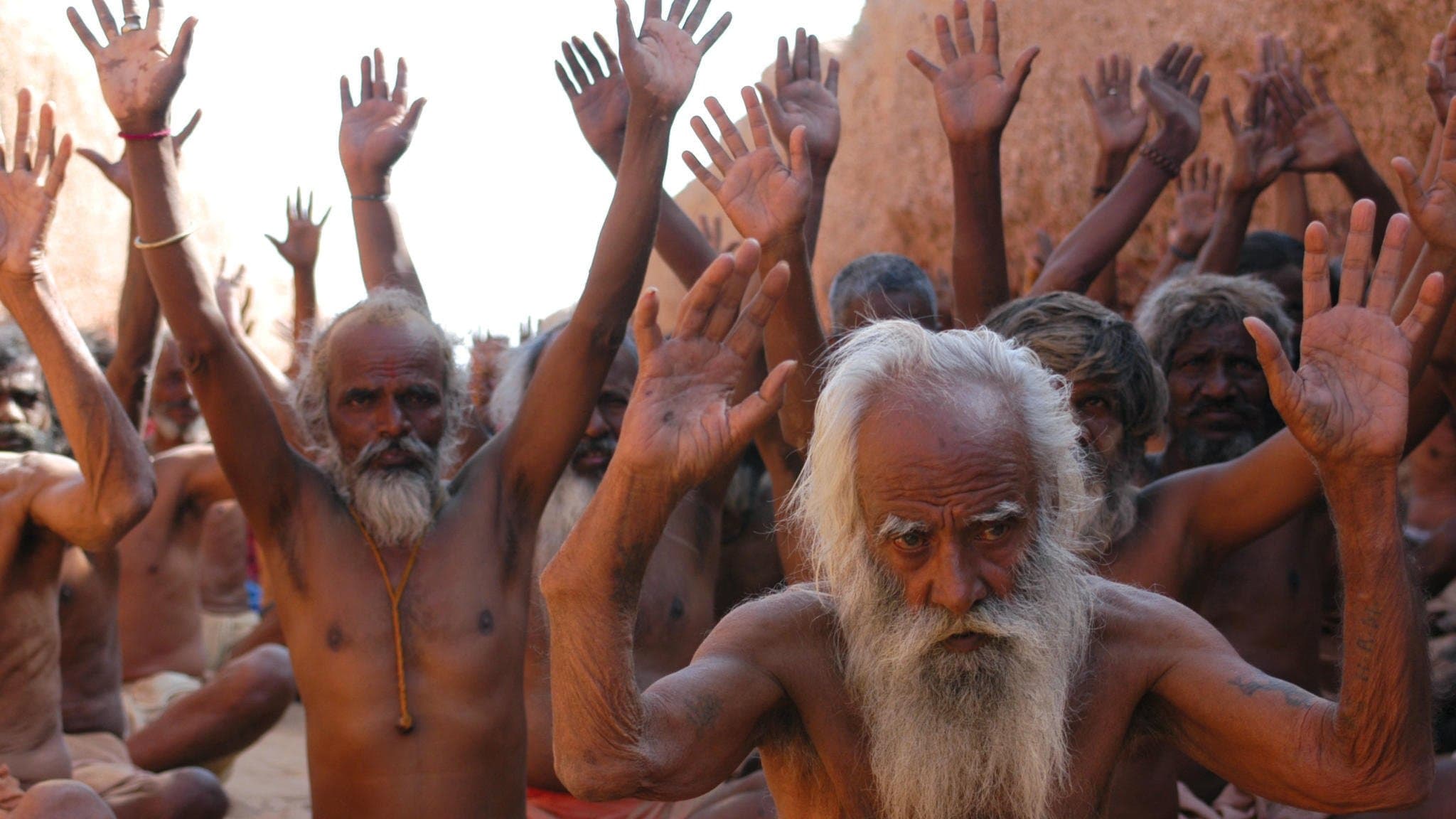 فریاد مورچهها