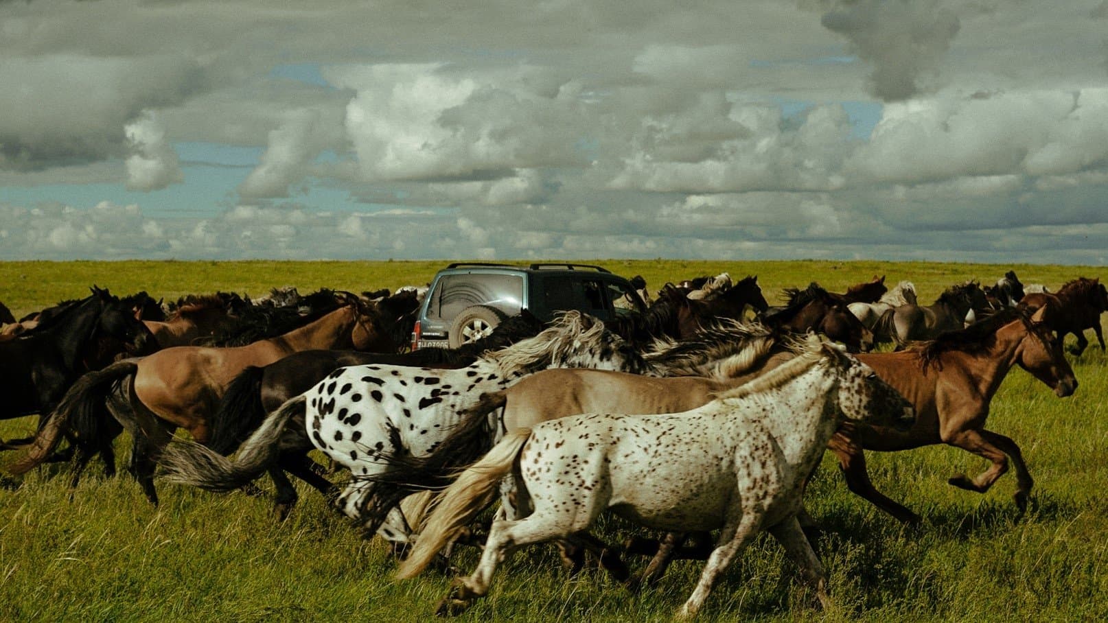 Striding Into The Wind