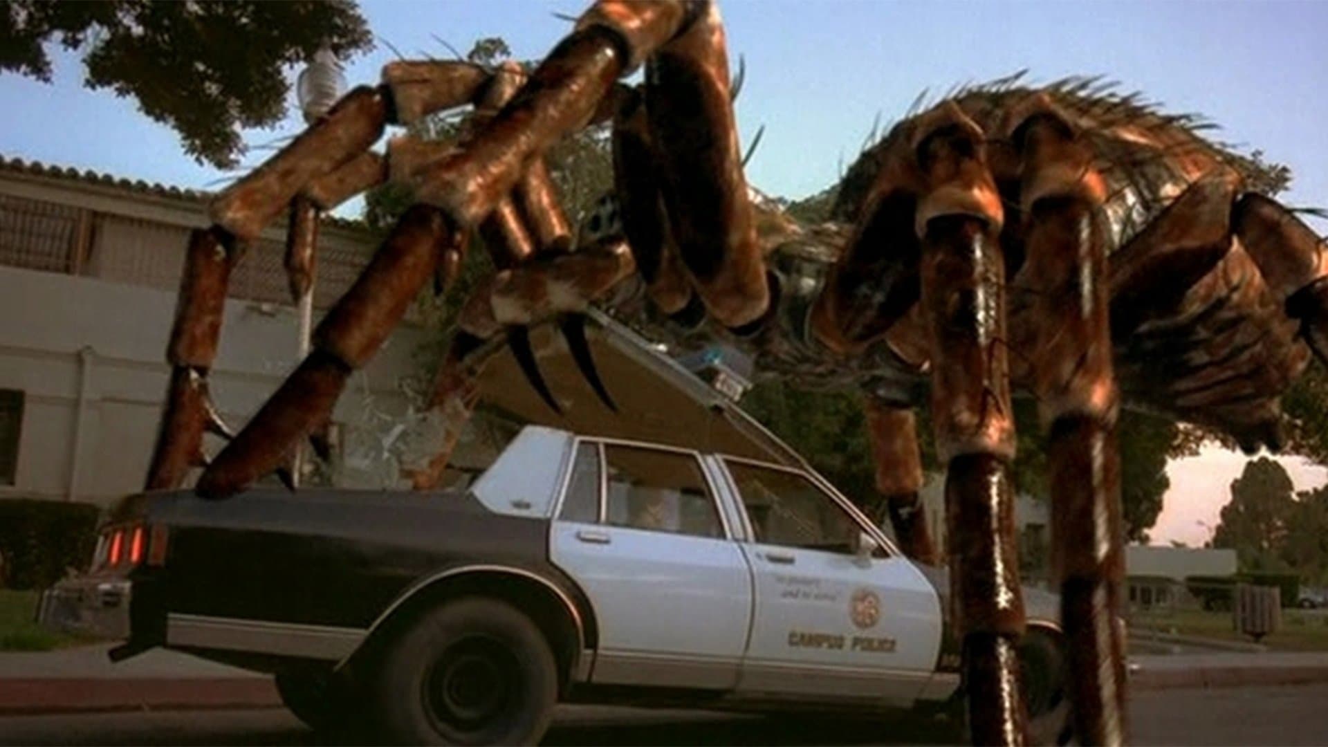 Caccia al ragno assassino