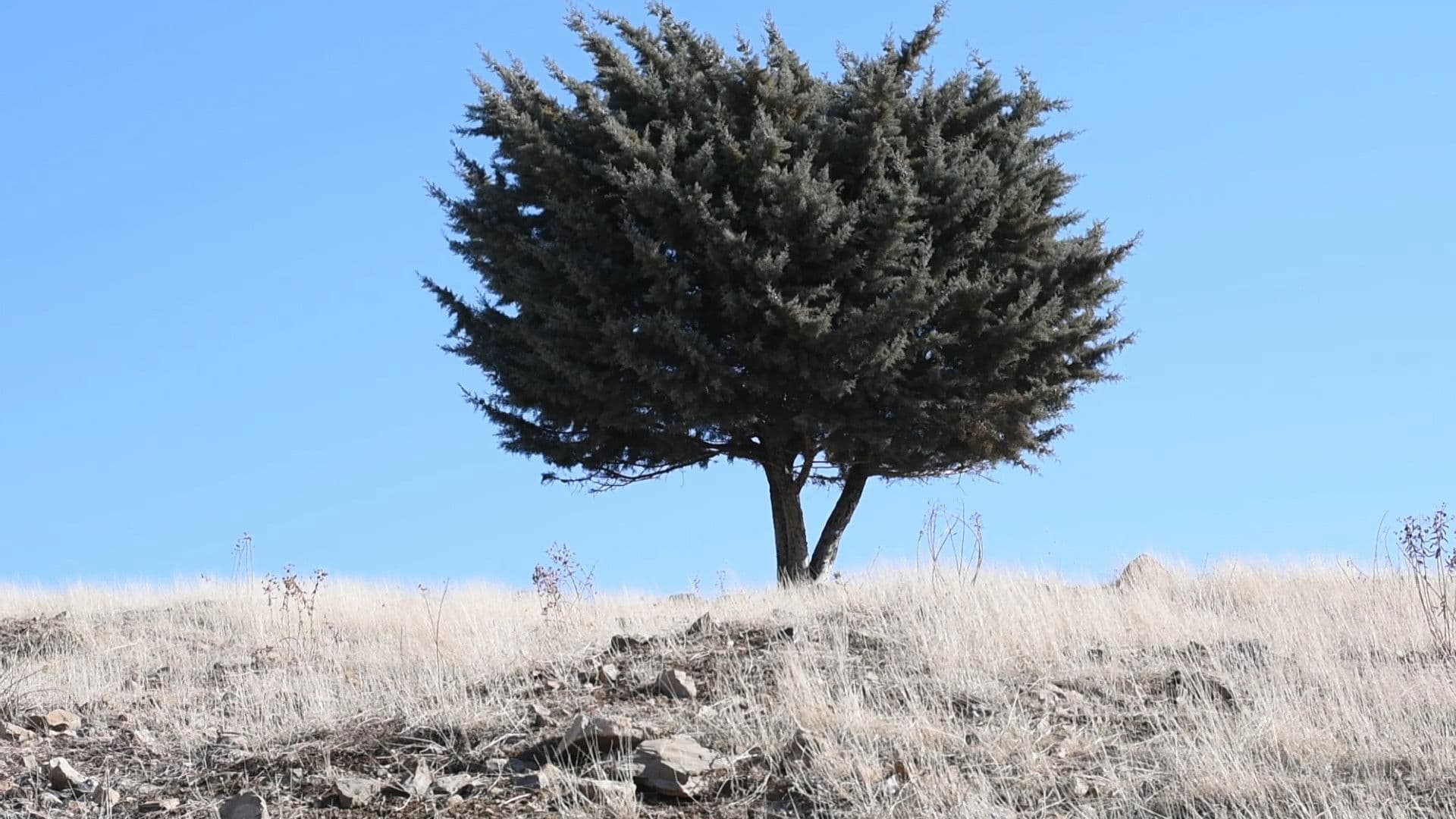 کجاست جای رسیدن؟