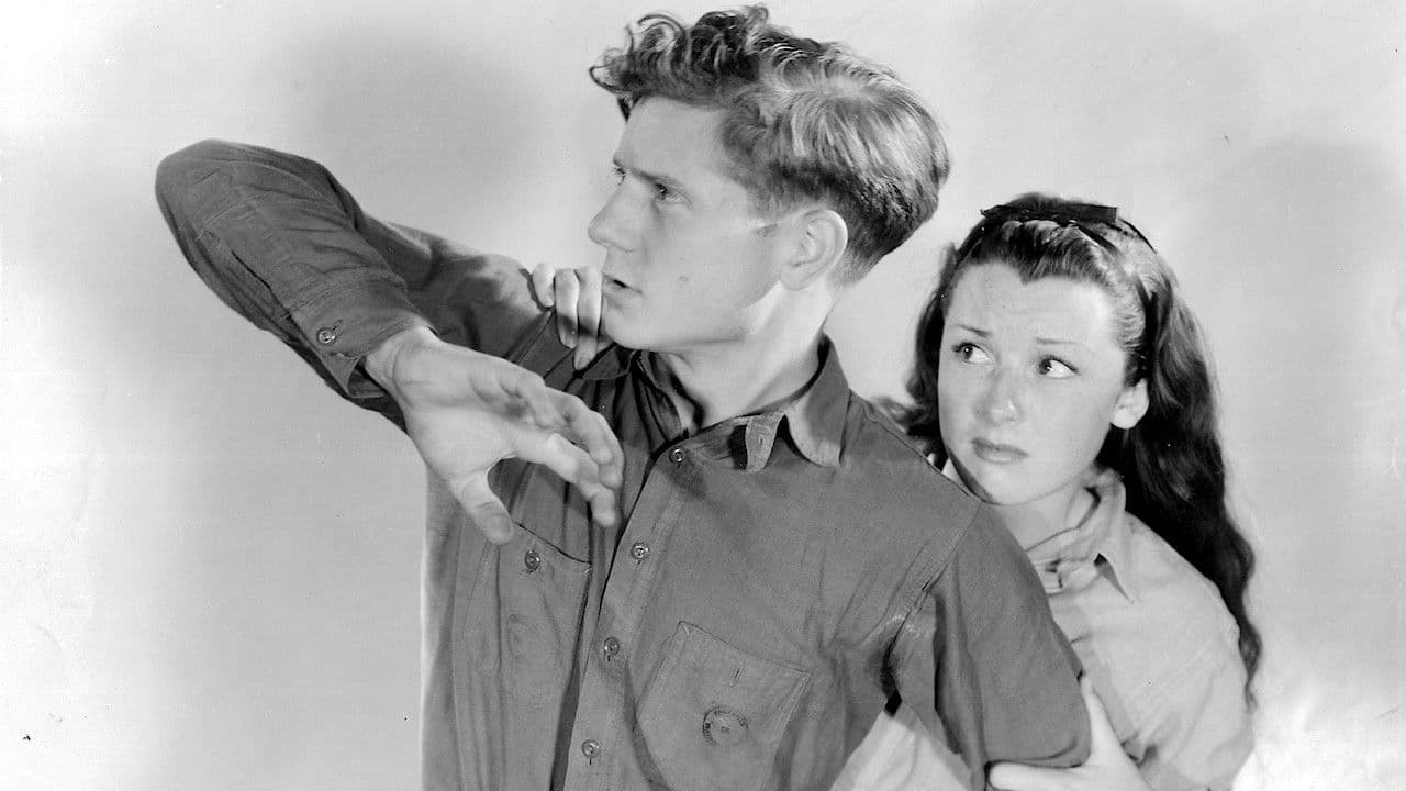 Selvaggi ragazzi di strada