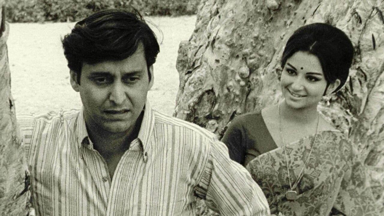 Giorni e notti nella foresta