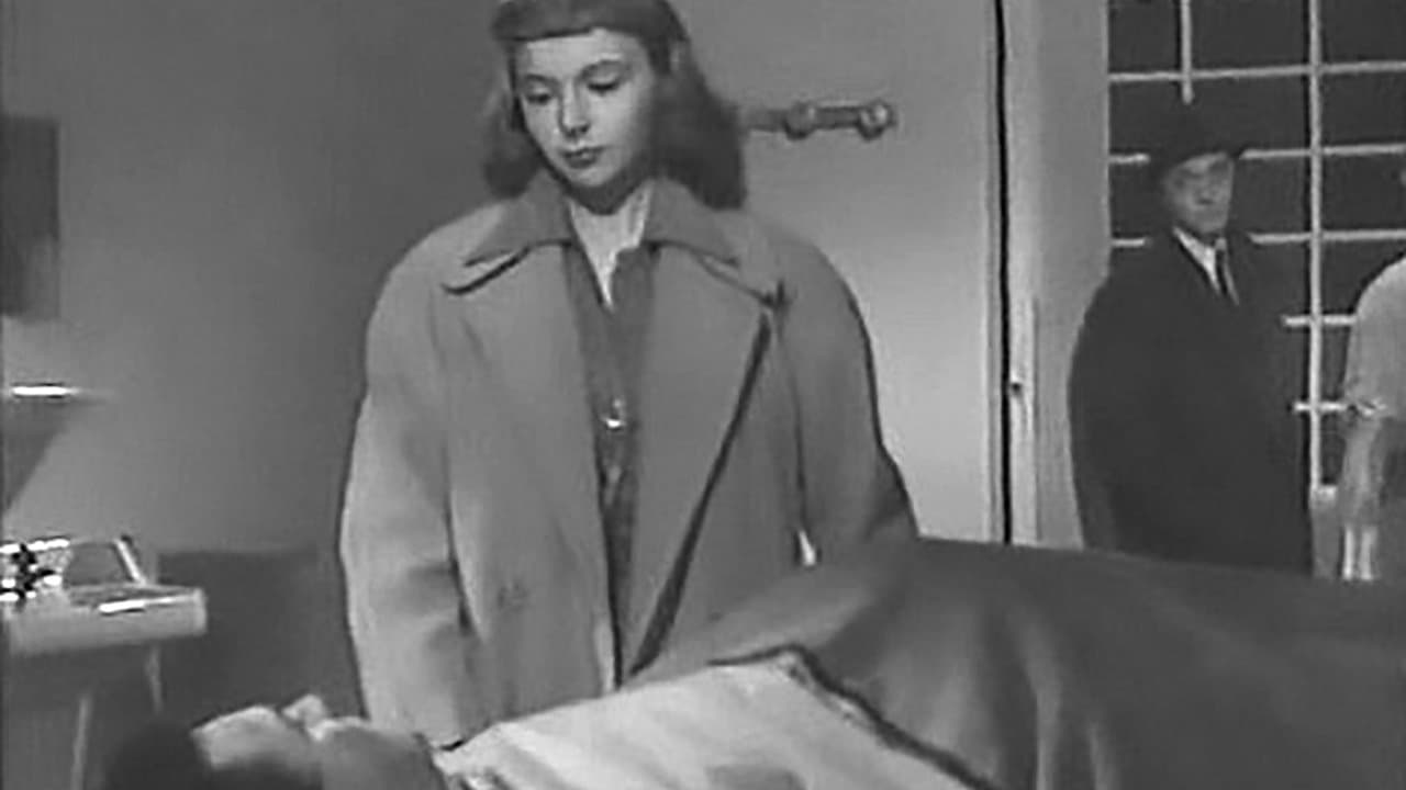 Le compagne della notte