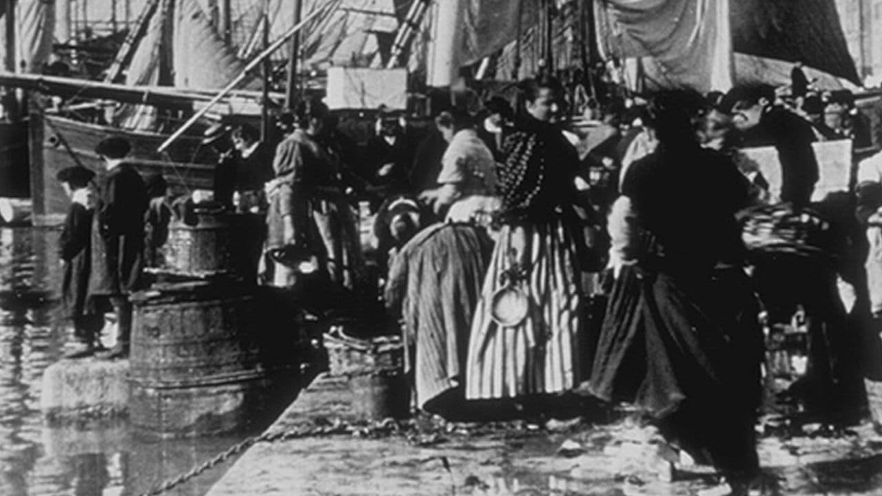 Marseille, Marché aux poissons