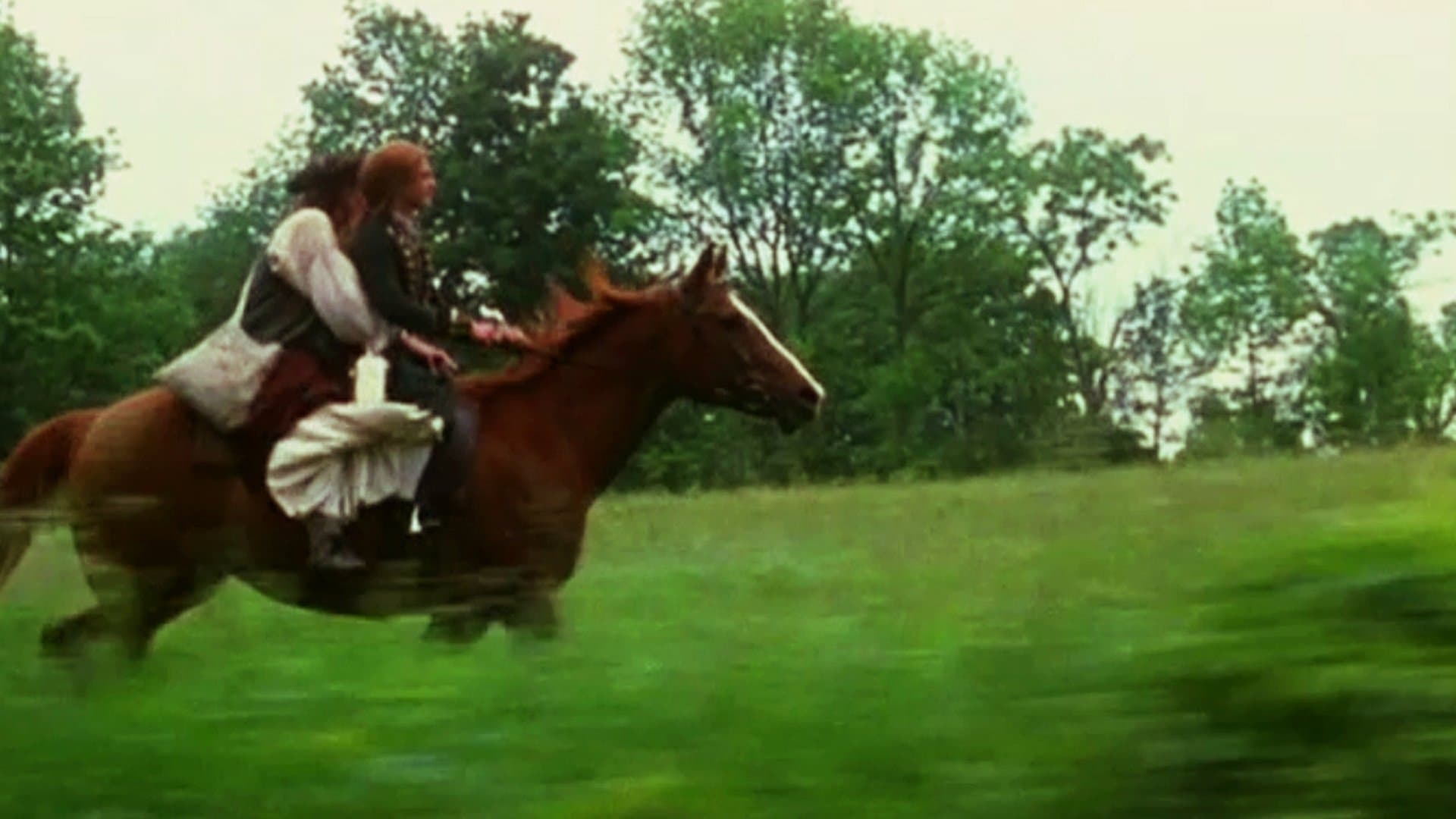 Le avventure di Felicity