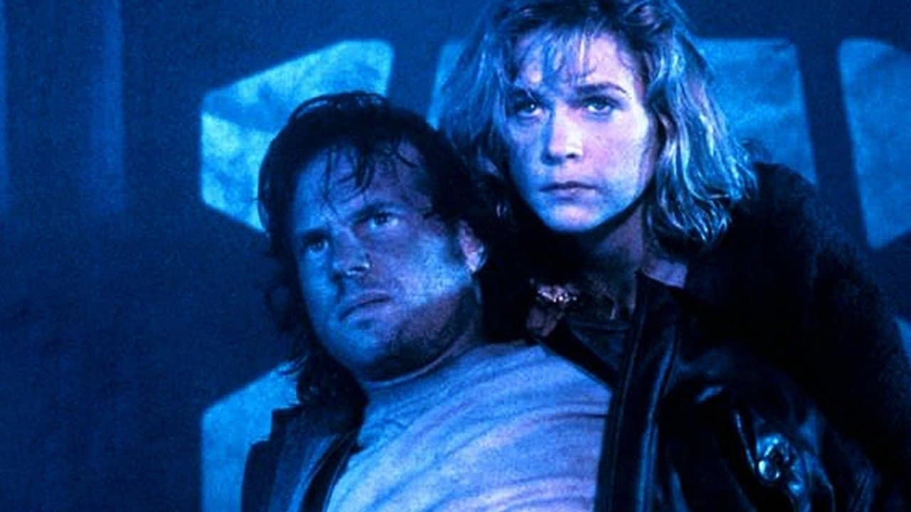 The war zone - Echi di guerra