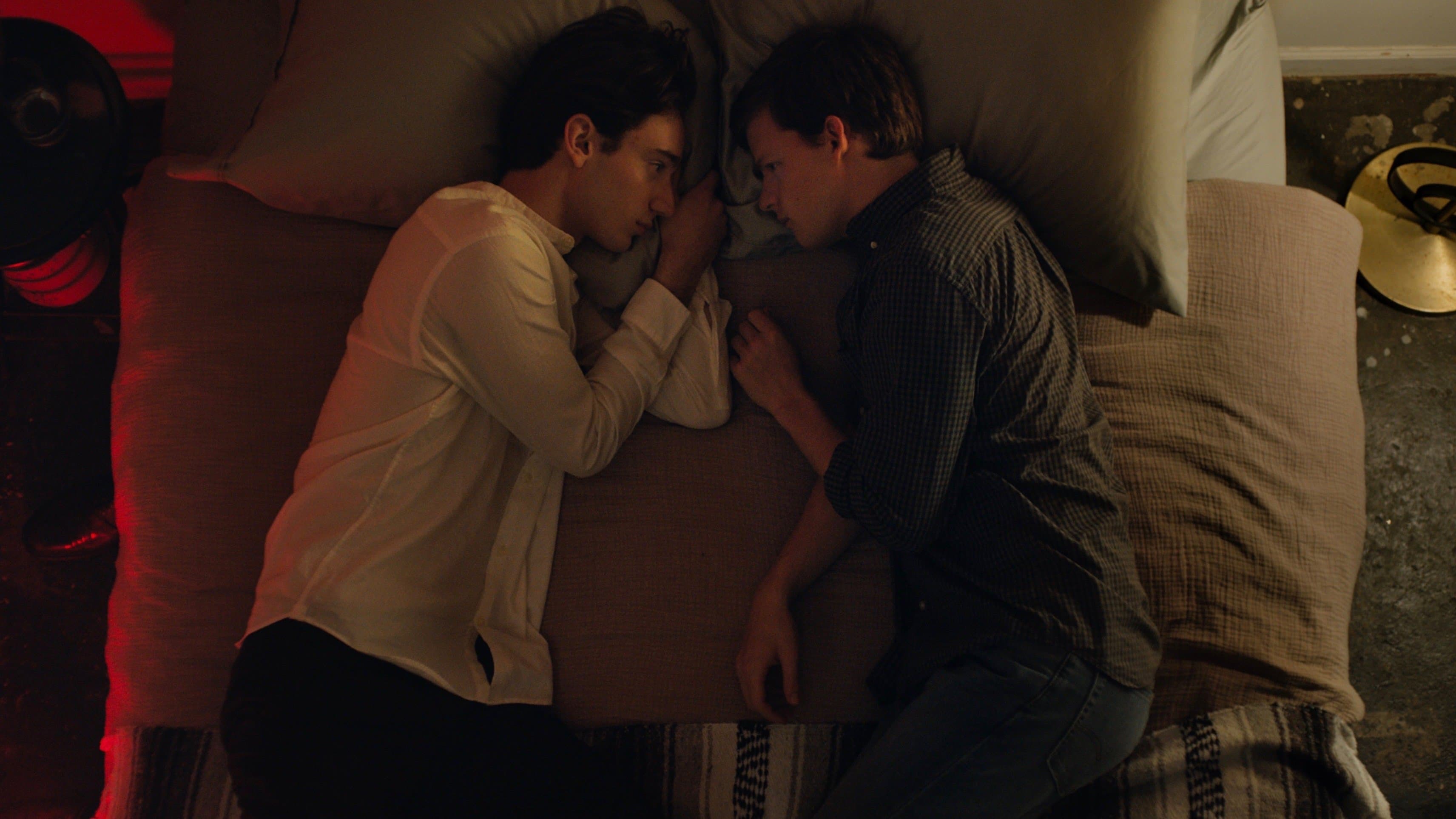 Boy Erased - Vite cancellate