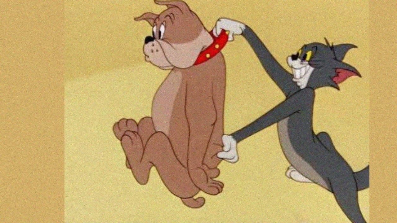 Litigio per gli animali di casa