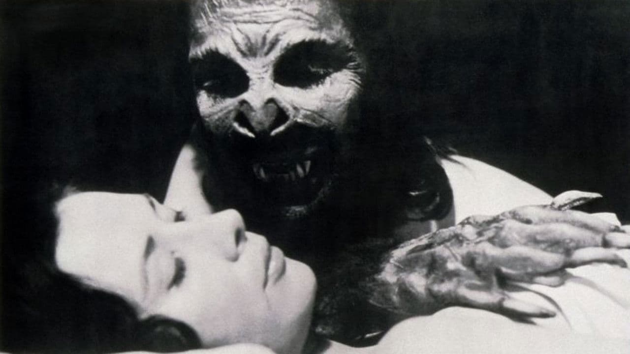 Il morso del pipistrello