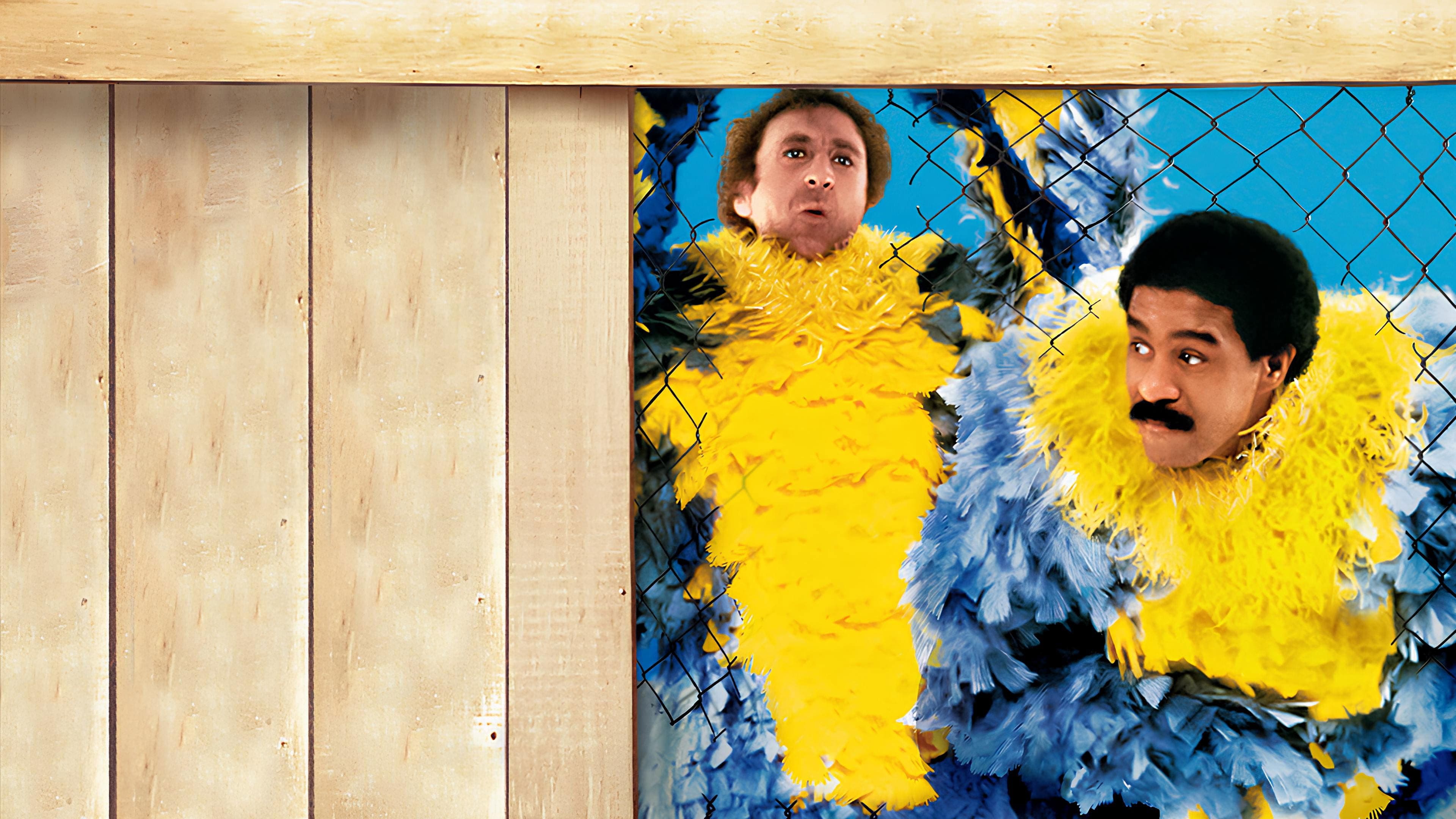 Nessuno ci può fermare