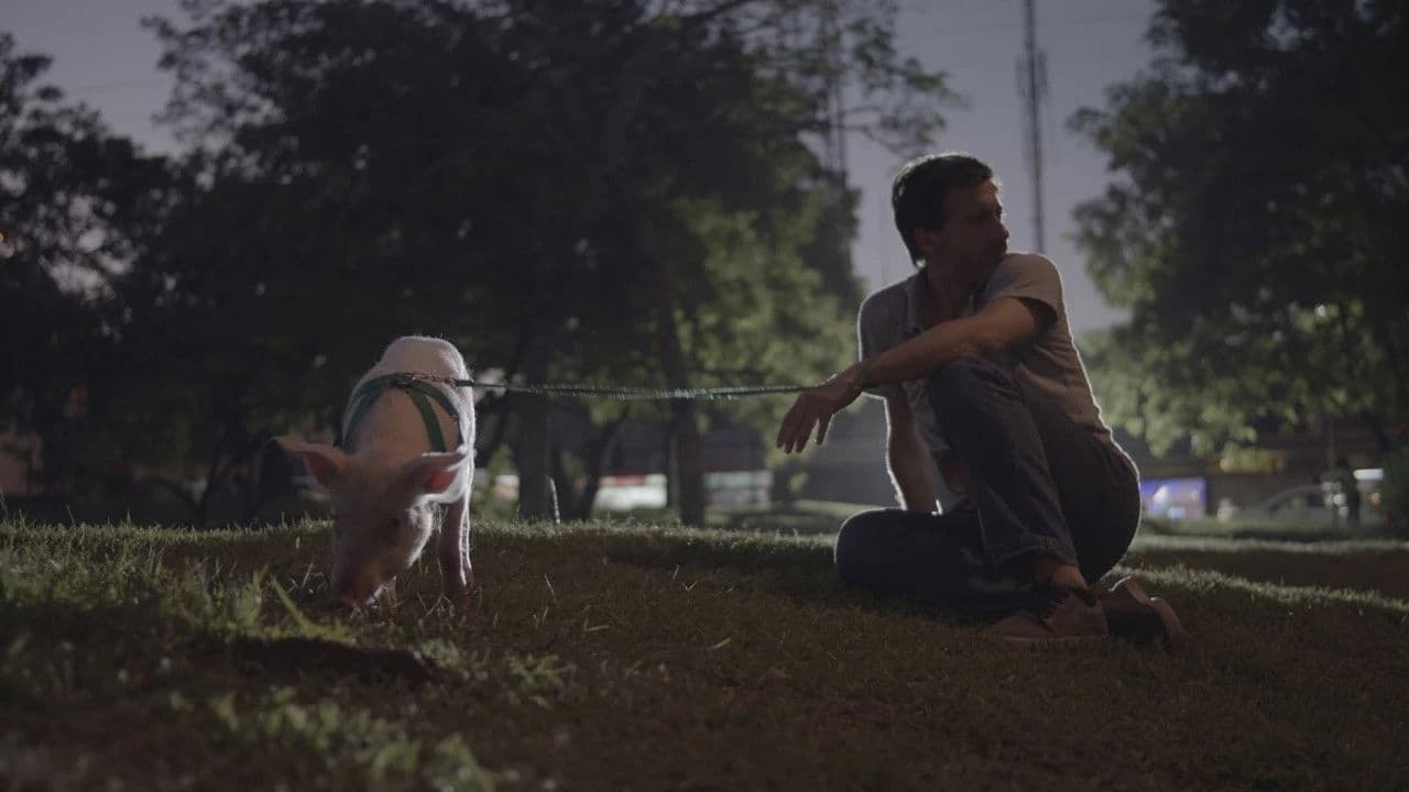 Il fantasma ritorna in città