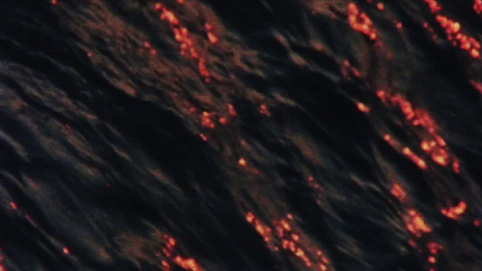 Water from the Seine