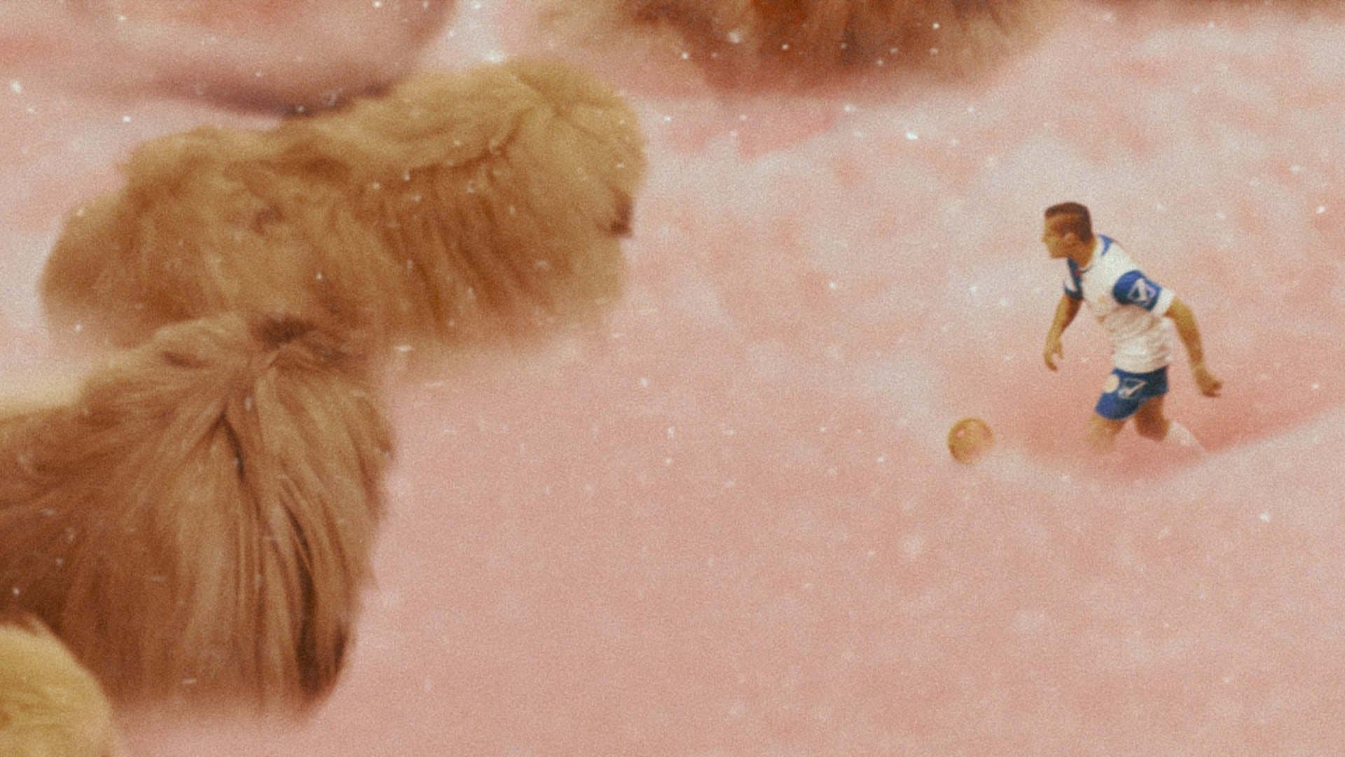 Diamantino - Il calciatore più forte del mondo