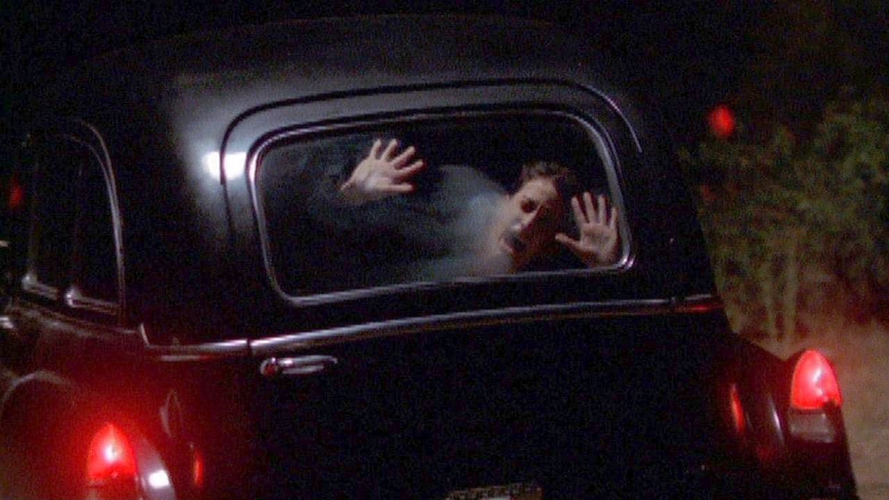 Dead End - Quella strada nel bosco