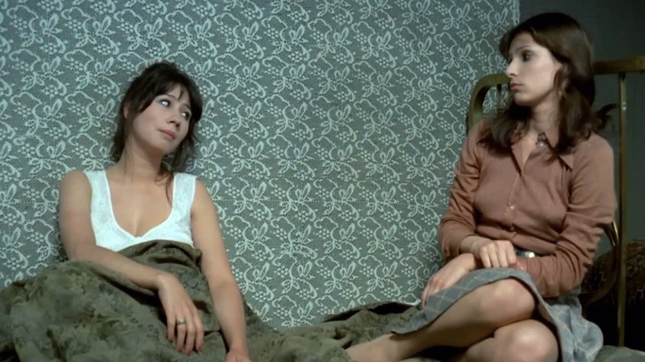 Ilustrate cu flori de câmp