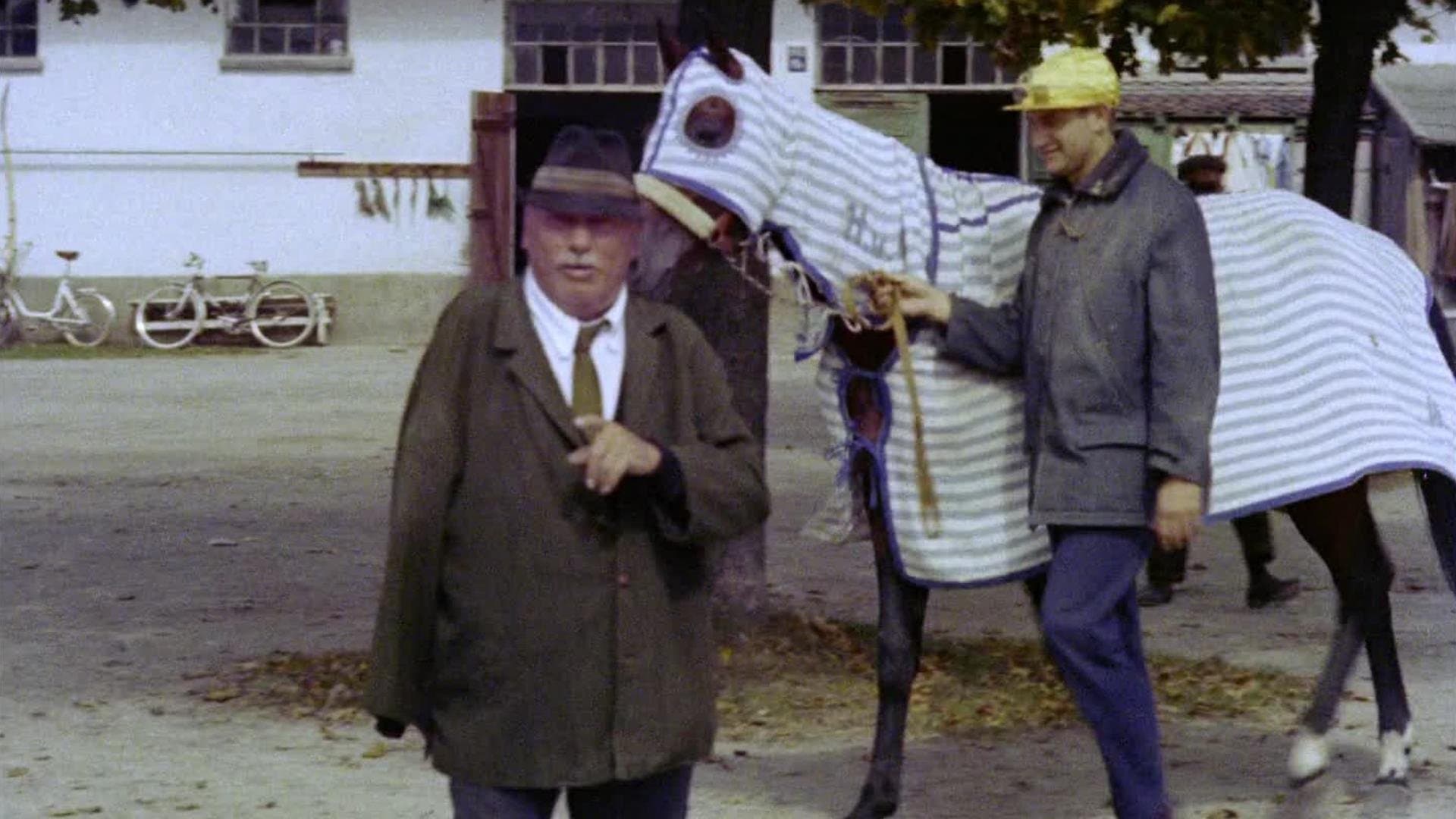 Provvedimenti contro i fanatici