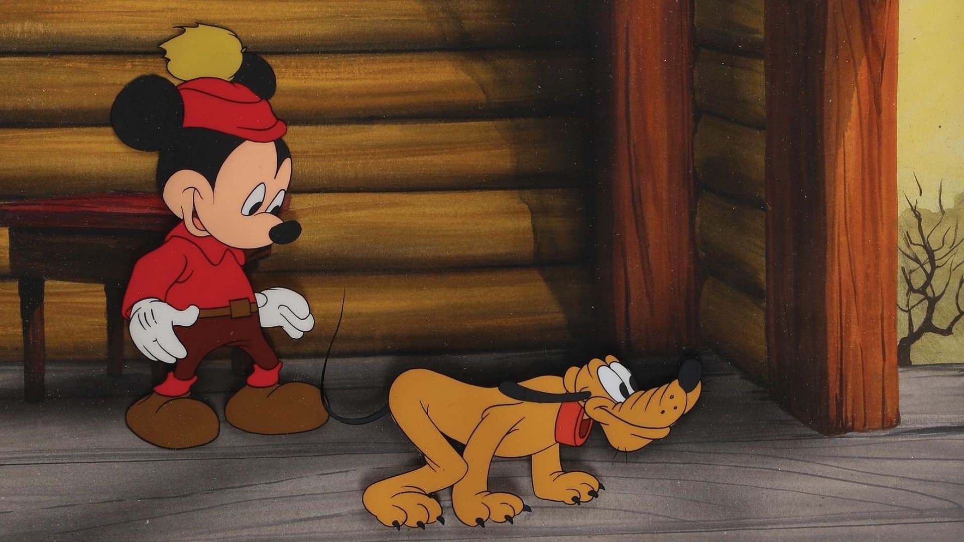 Due scoiattoli dispettosi