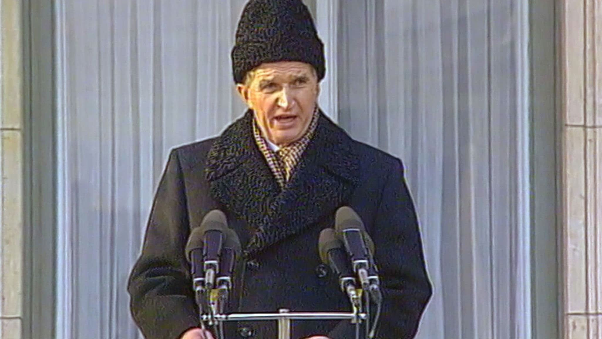 Videogramme einer Revolution