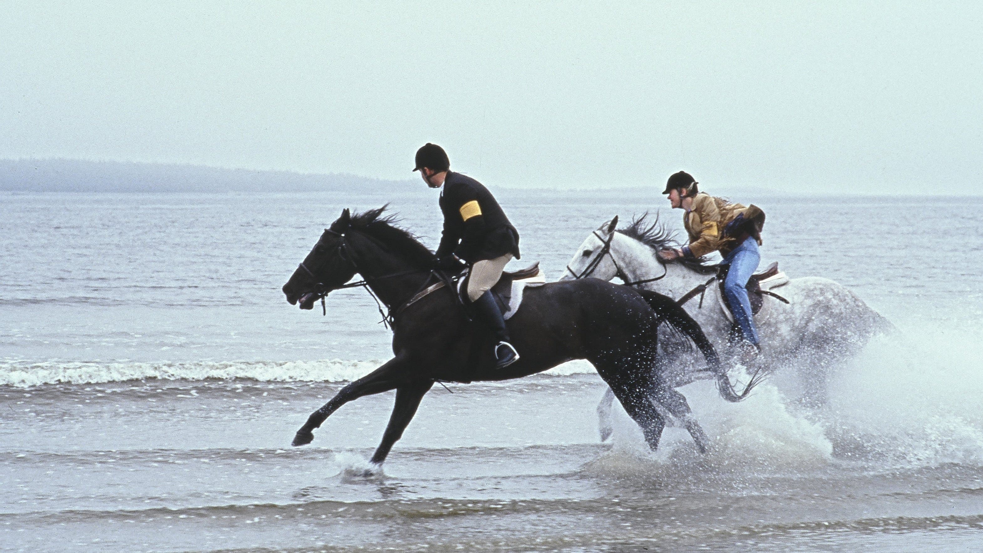 La corsa di Virginia