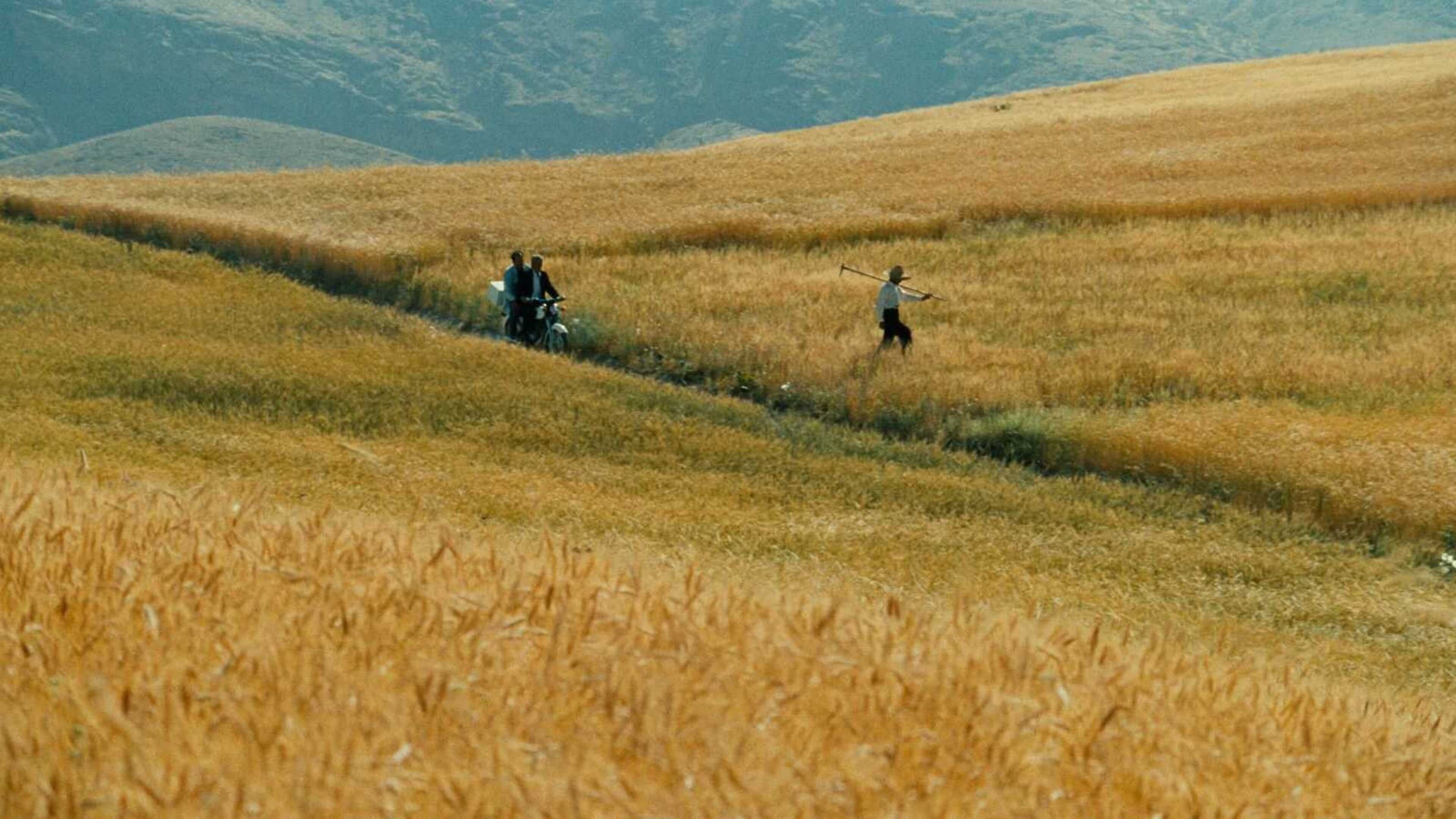 Il vento ci porterà via