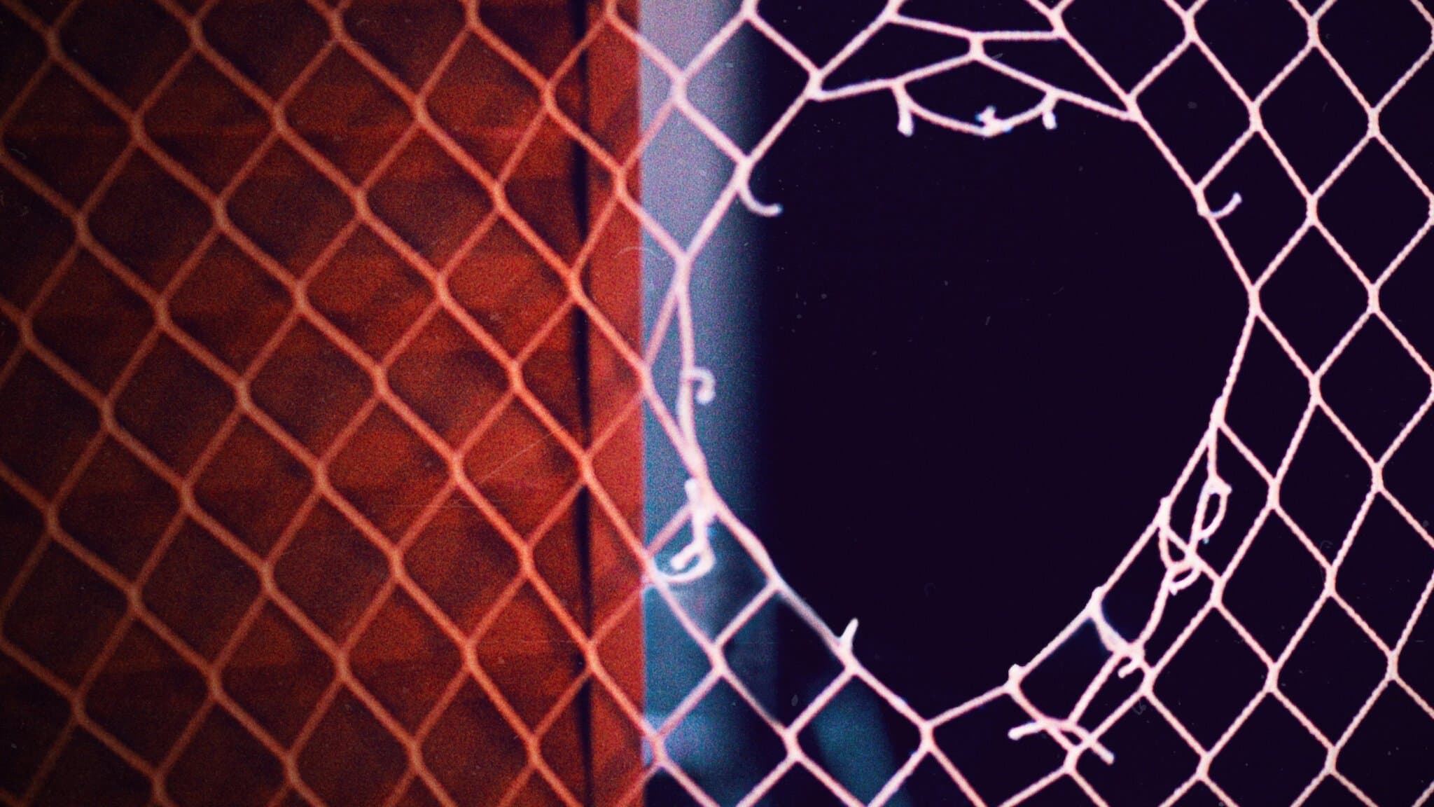 Il caso Isabella Nardoni