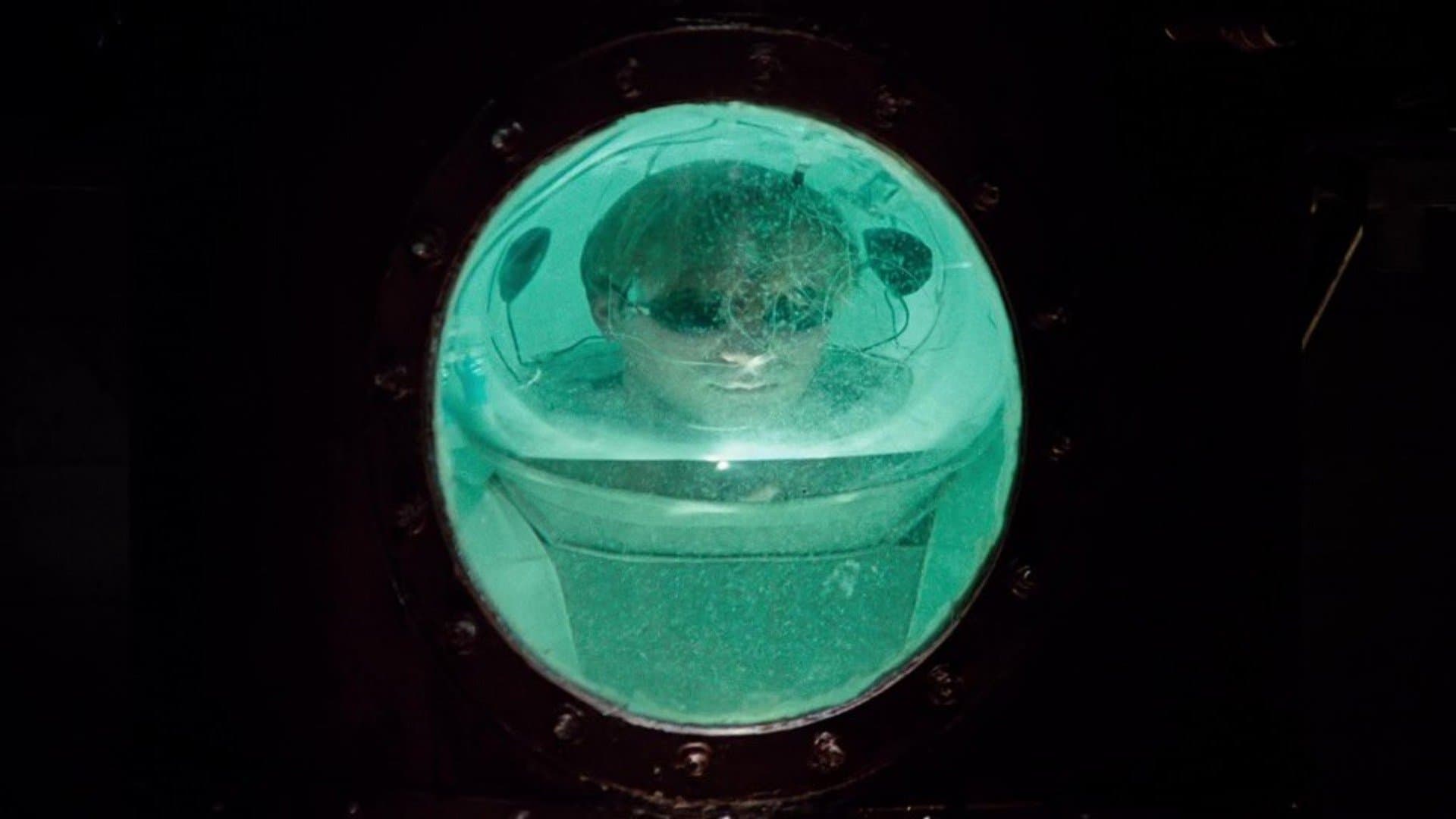 Stati di allucinazione