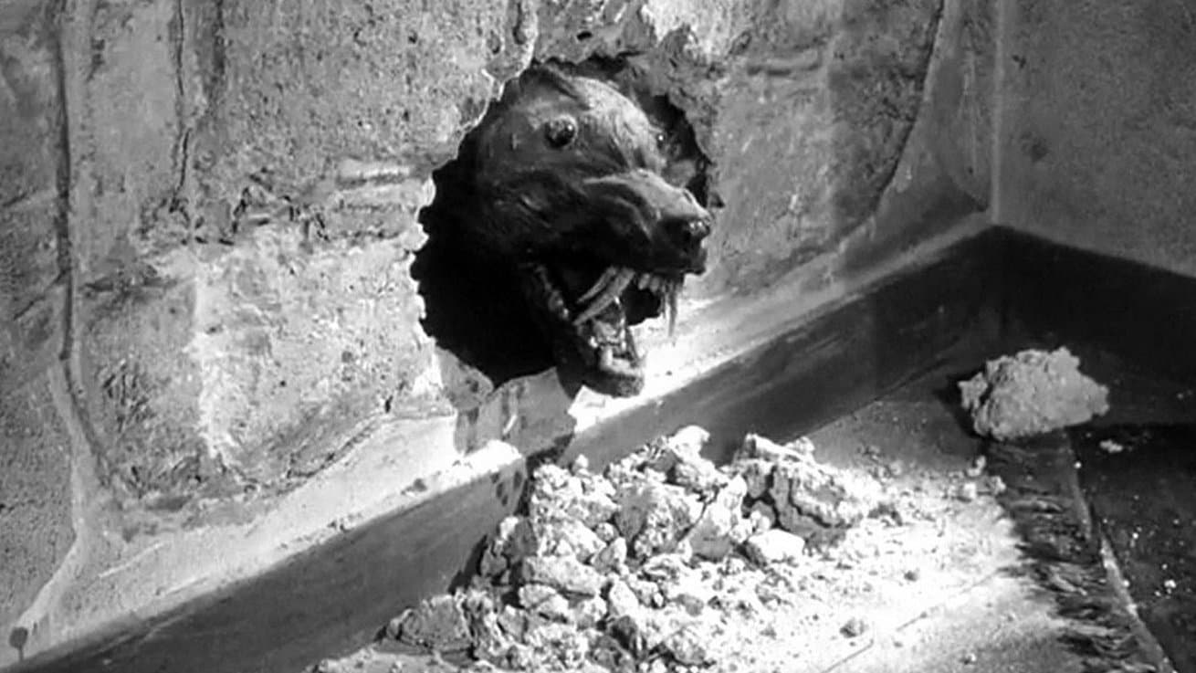 The Killer Shrews - Toporagni assassini