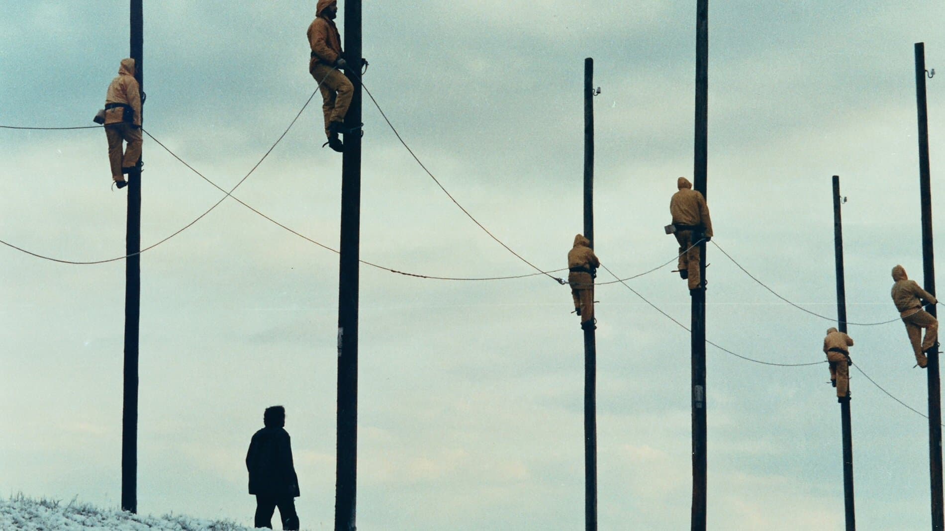 Il passo sospeso della cicogna