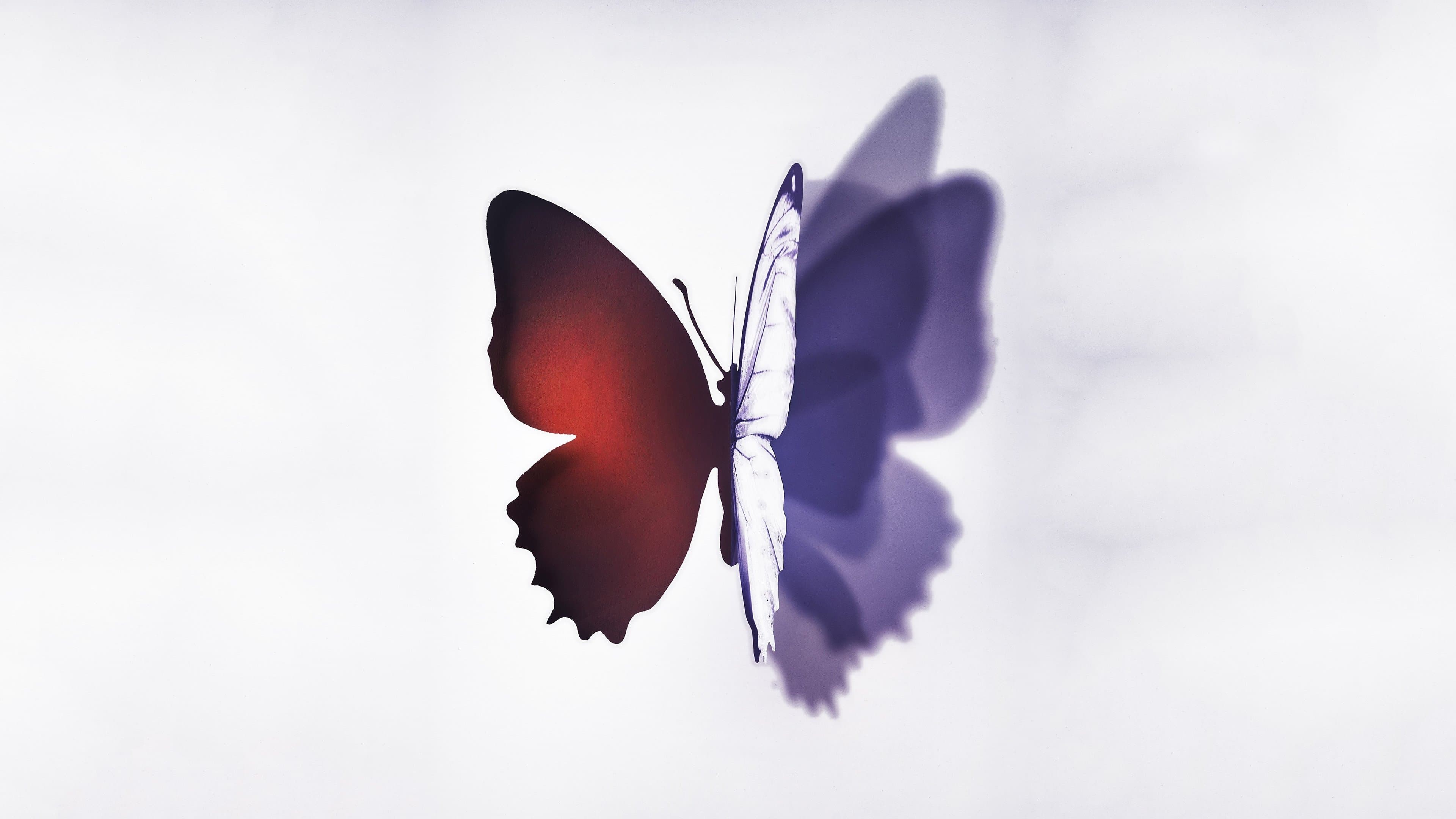 Complete Unknown - Cambio d'identità