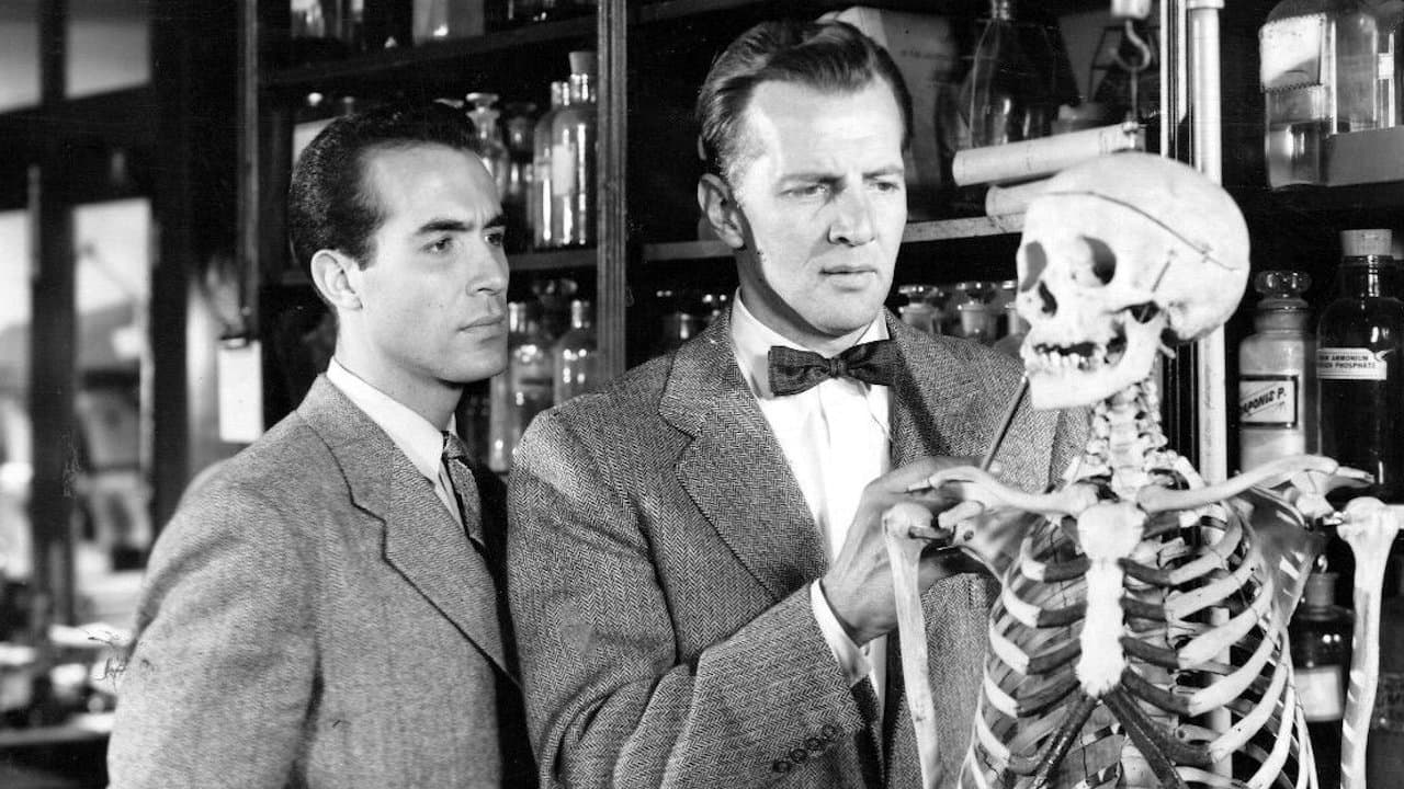 La strada del mistero