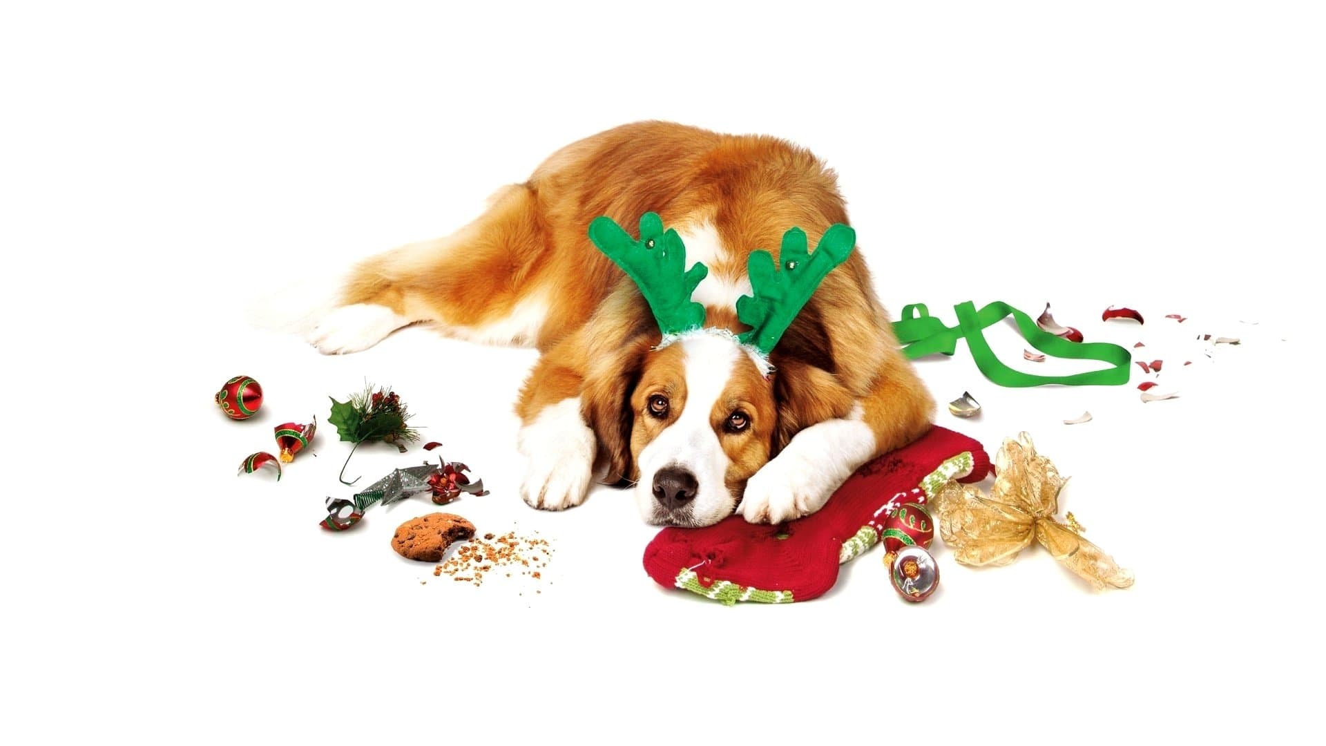 Natale all'improvviso