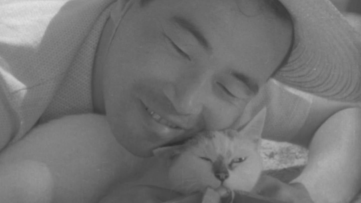 猫と庄造と二人のをんな