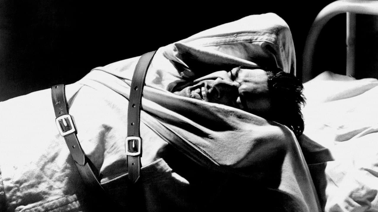 Il corridoio della paura