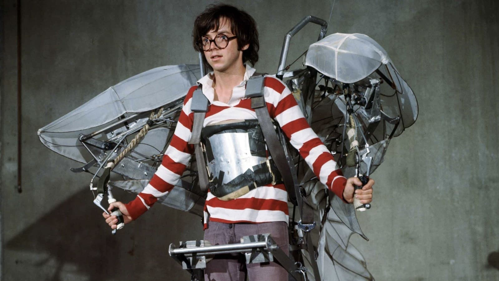 Anche gli uccelli uccidono