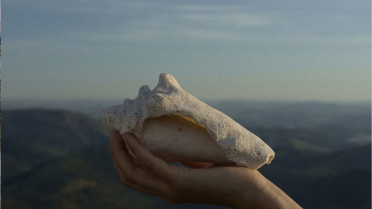 O silêncio elementar