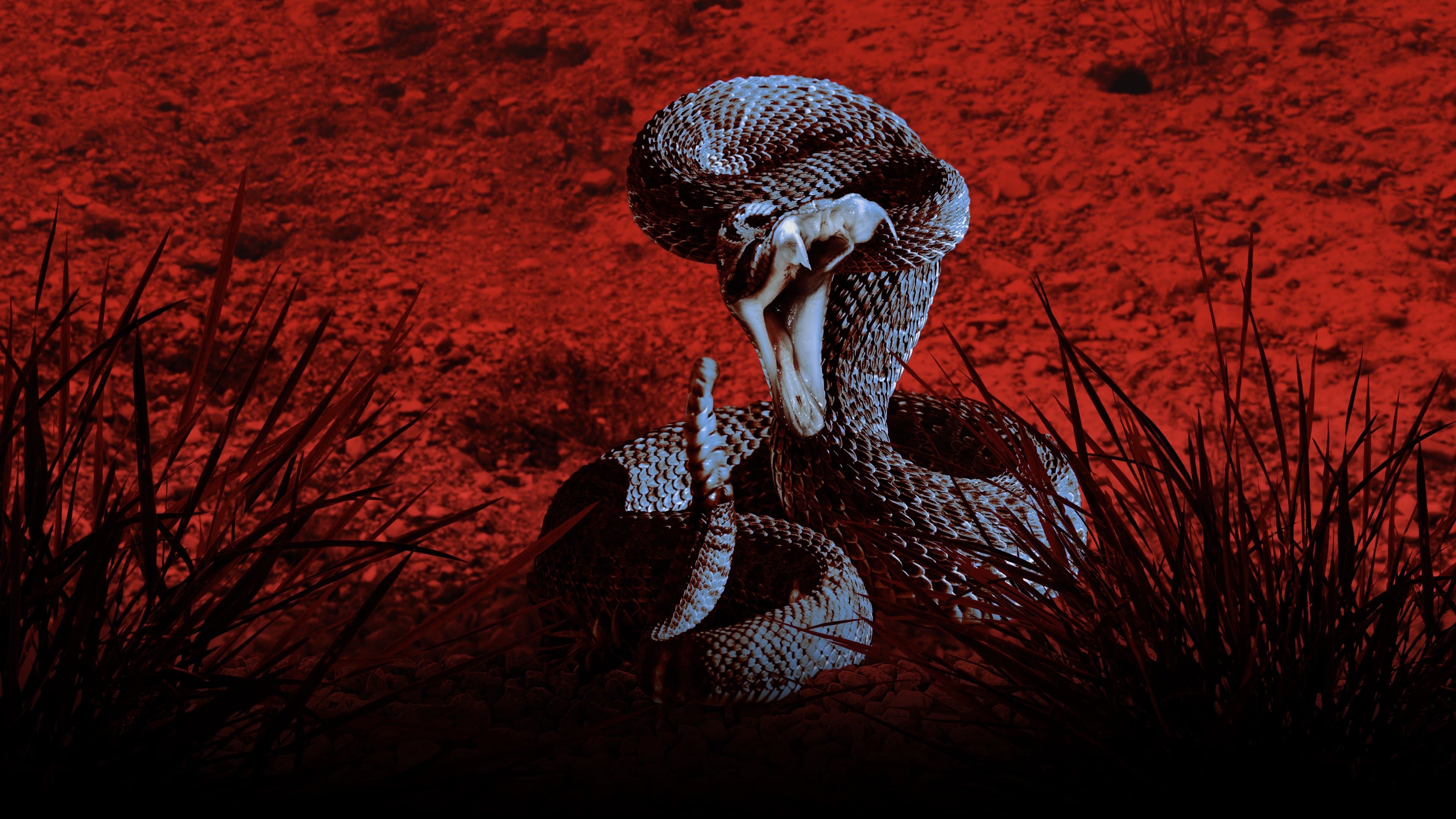 Incontri Pericolosi: Storie di Terrore