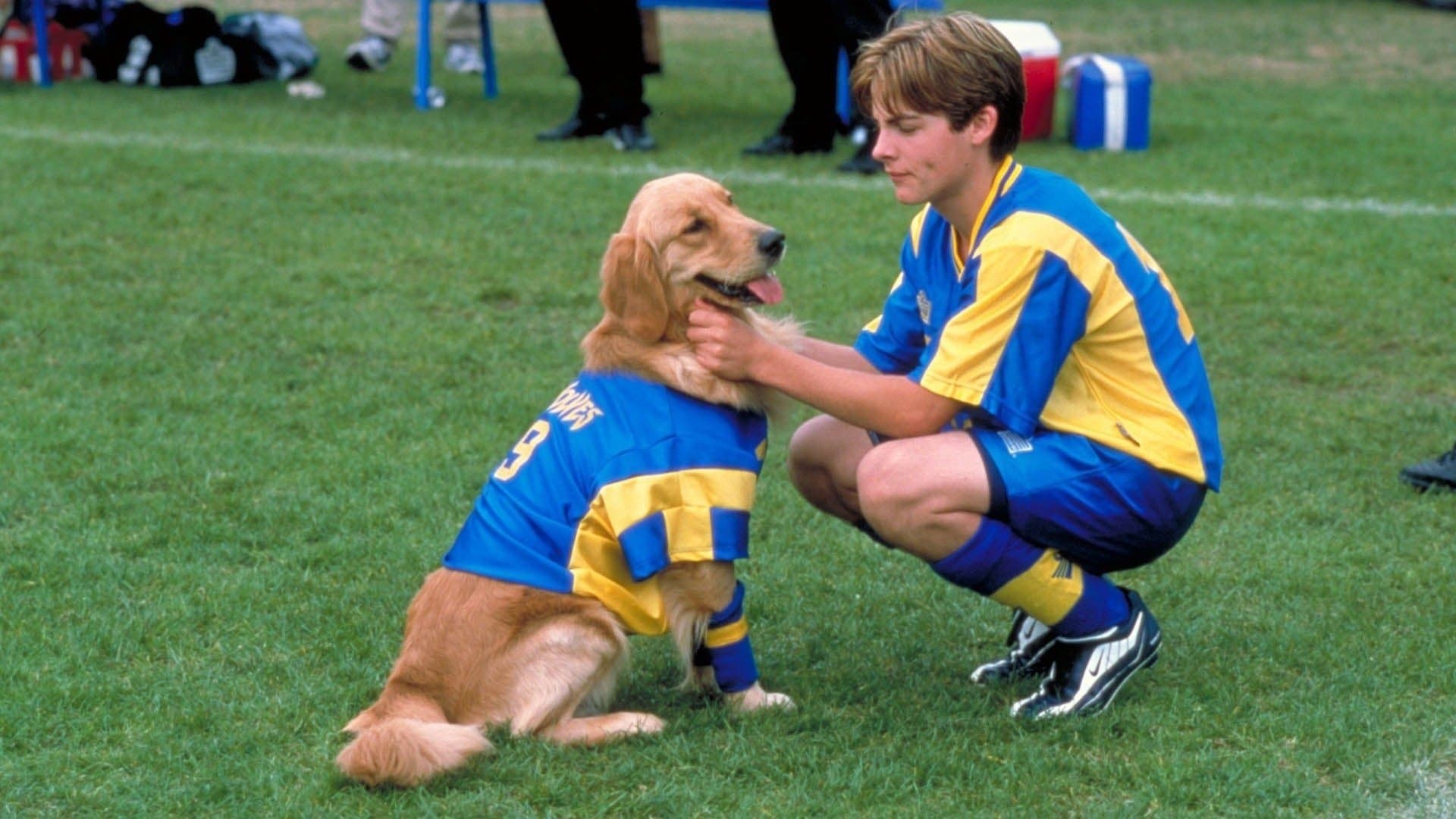 Air Bud 3