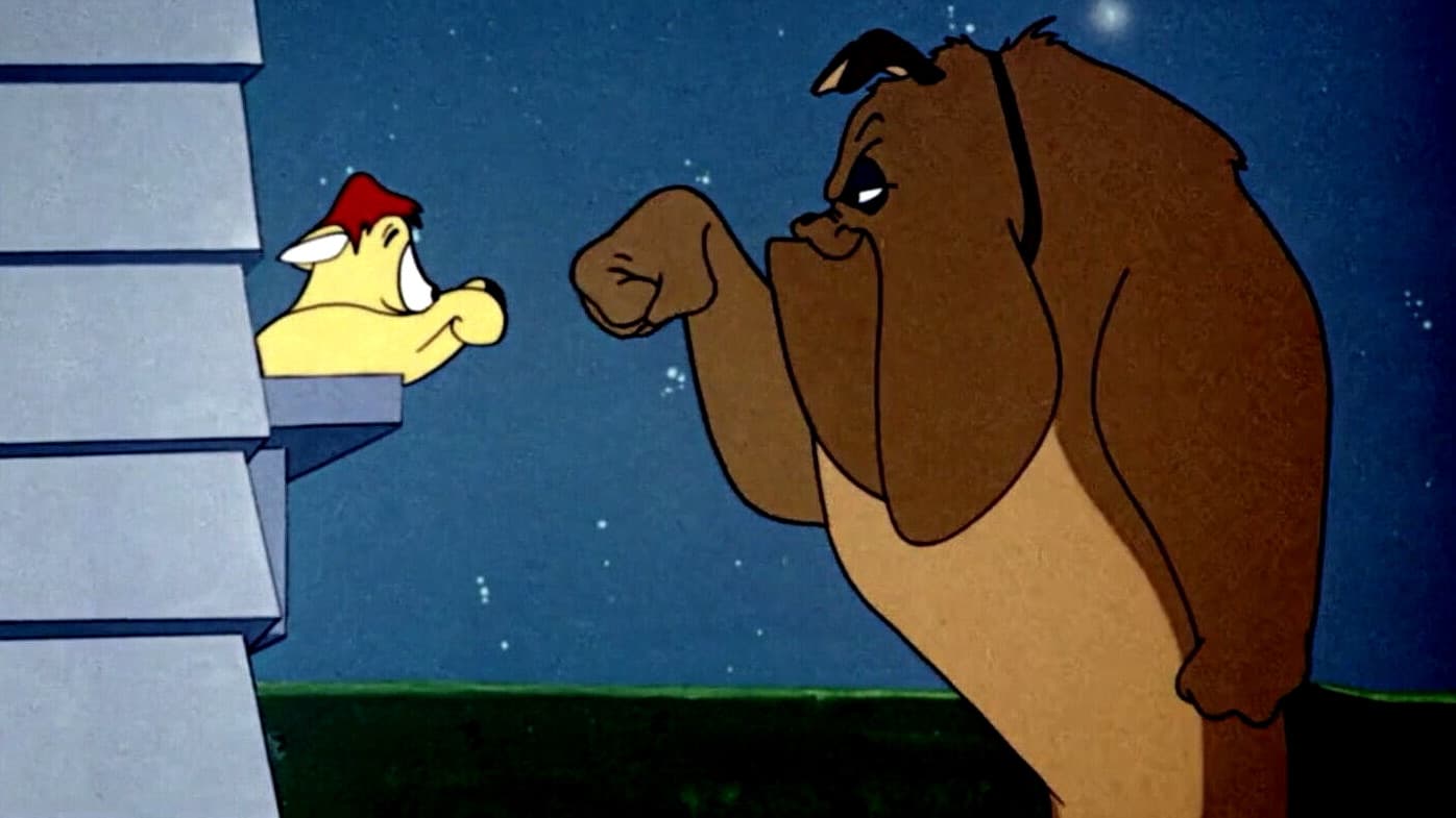 Come incastrare un felino