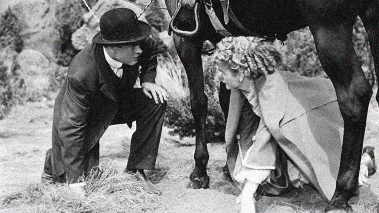 Ai vostri ordini signora!