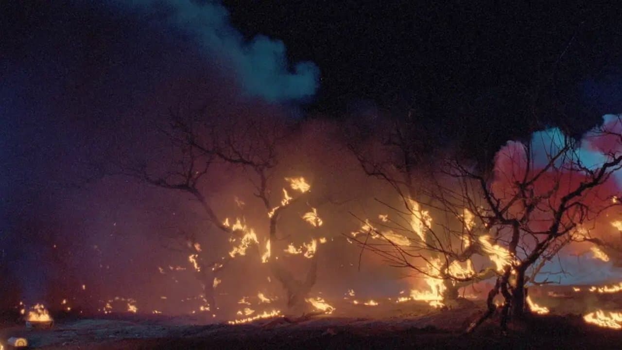 畫皮之陰陽法王