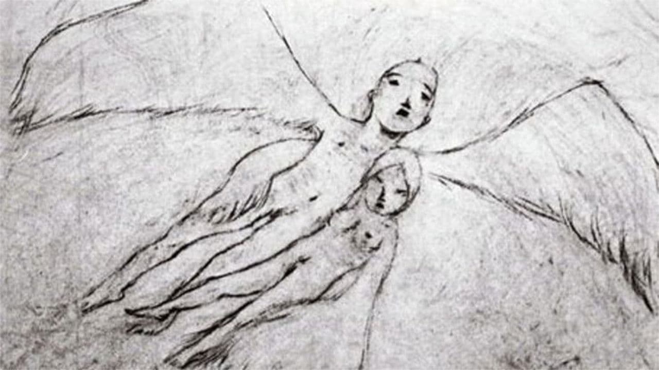 A Feather Stare at the Dark